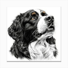 Bernese Mountain Dog 1 Canvas Print