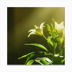 Easter Lilies In A Sunlit Church Serene Canvas Print