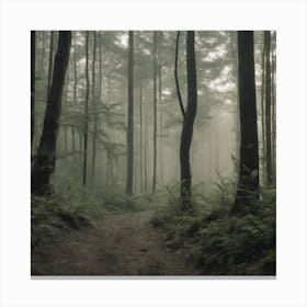 Foggy Forest Canvas Print