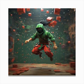 The ninja 1 Canvas Print