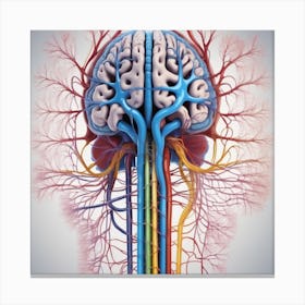 Human Brain With Blood Vessels 5 Canvas Print