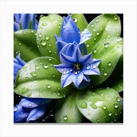 Blue flower Canvas Print