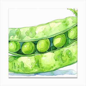 Peas Illustration Canvas Print