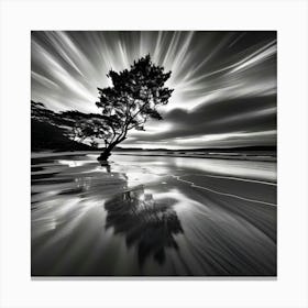 Lone Tree Canvas Print