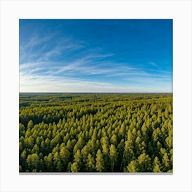 Aerial View Of A Forest Canvas Print