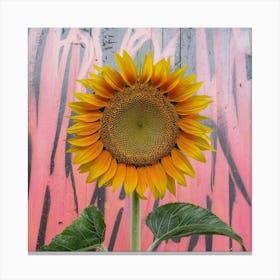 Sunflower in pink Canvas Print