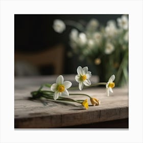 Daffodils Canvas Print