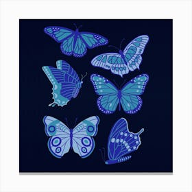 Texas Butterflies   Blue On Navy Square Canvas Print