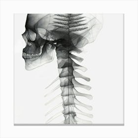 Skull And Fern Canvas Print