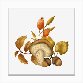 Fall illustration with mushroom Canvas Print