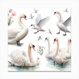 Swans 5 Canvas Print