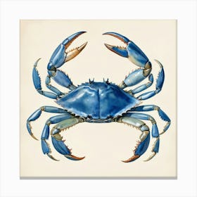 Blue Crab Canvas Print art print Canvas Print