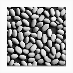 Black And White Beans Canvas Print