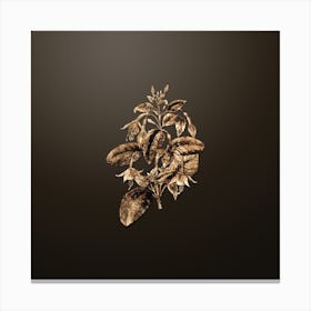 Gold Botanical Standish's Fuchsia Flower Branch on Chocolate Brown n.0783 Canvas Print