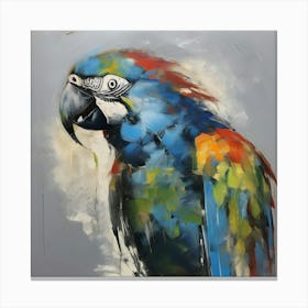 Parrot of American Grey 5 Canvas Print