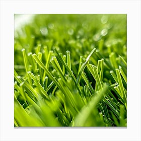 Artificial Grass Canvas Print