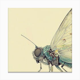 Butterfly Canvas Print