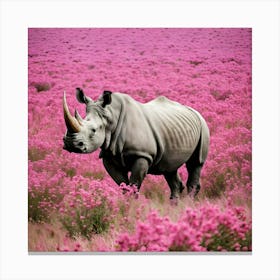 Rhino In Pink Field Canvas Print