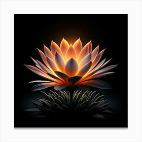 Lotus Flower On Black Background 1 Canvas Print