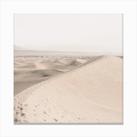Neutral Sand Dunes Canvas Print