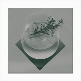 Rosemary Square Canvas Print
