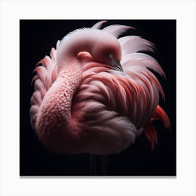 A flamingo 2 Canvas Print