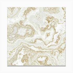 Marble Texture 1 Canvas Print