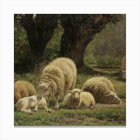 Sheeps 3 Canvas Print