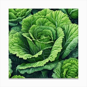 Cabbages Canvas Print