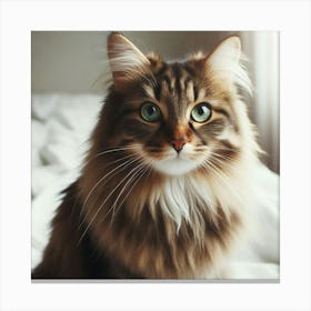 "The Curious Gaze of a Feline Companion: A Study in Softness and Light Canvas Print