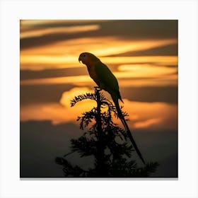 Parrot At Sunset Canvas Print