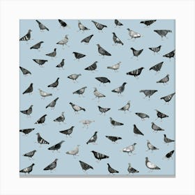 Pigeons Doing Pigeon Things Canvas Print