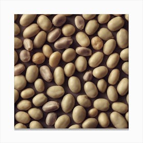 Close Up Of Soybeans Canvas Print