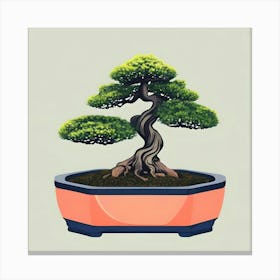 Bonsai Tree 3 Canvas Print