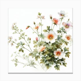 Flowers of Indian cress Canvas Print