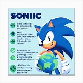 Sonic The Hedgehog 29 Canvas Print