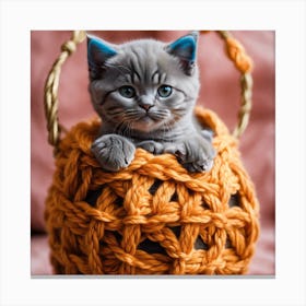Kitten In A Basket Canvas Print