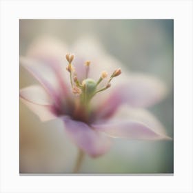 A Close Up Of A Delicate Bird Bud Just Beginning To Bloom, With Soft Petals And Hints Of Vibrant Col (5) Canvas Print