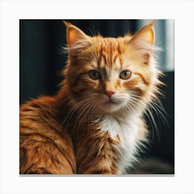 Orange Tabby Cat 1 Canvas Print