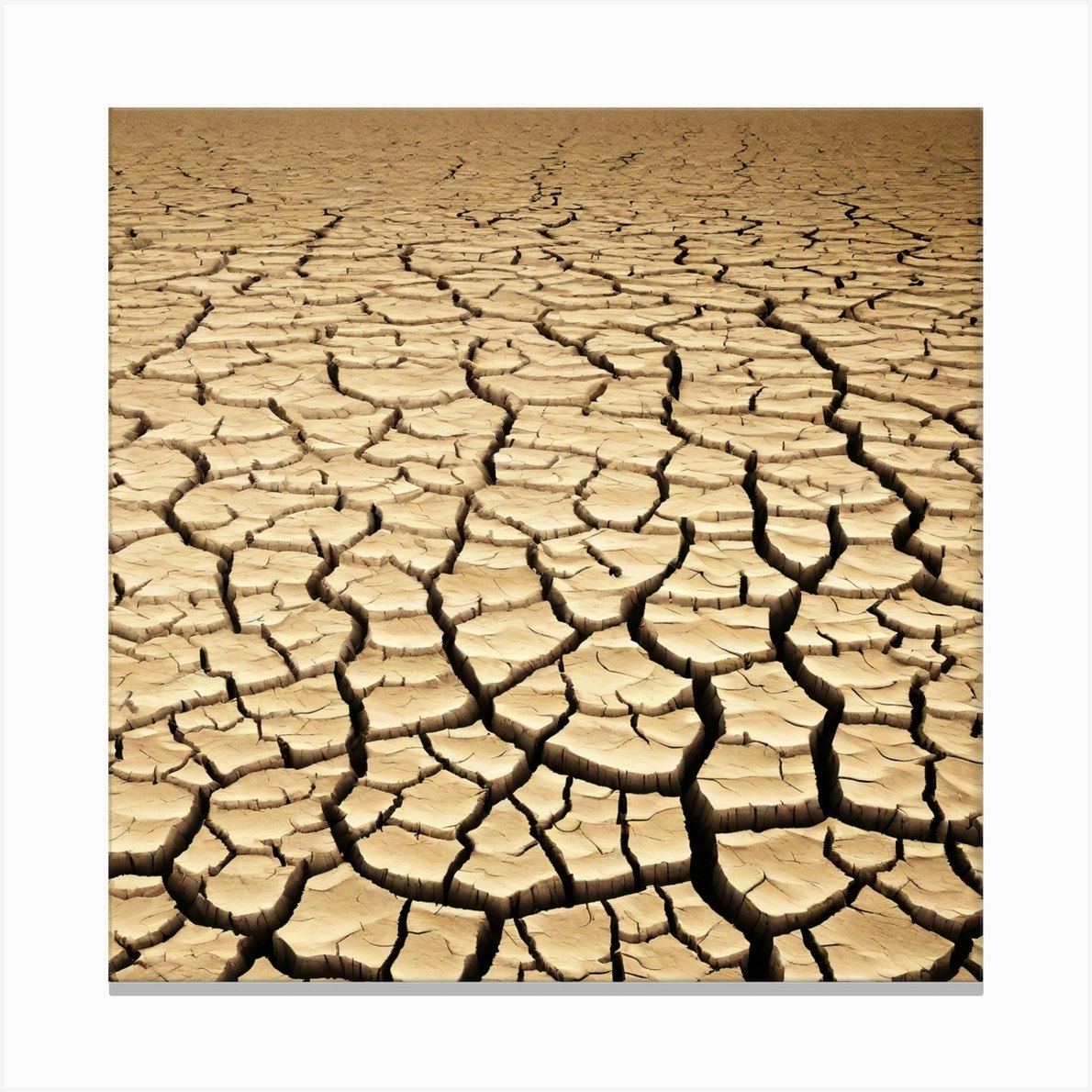 Dried And Cracked Soil In Arid Season. Canvas Print / Canvas Art