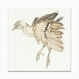 Pheasant 2 Canvas Print