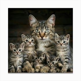 Mother Cat Canvas Print