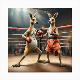 Boxing Kangaroos 1 Canvas Print