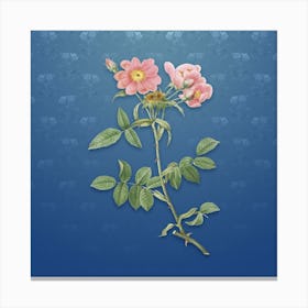 Vintage Lady Monson Rose Bloom Botanical on Bahama Blue Pattern n.0009 Canvas Print