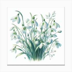 Flowers of Snowdrops Canvas Print
