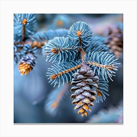 Frosted Pine Cones on Blue Spruce Branches Canvas Print