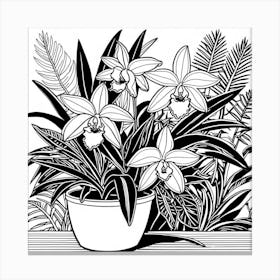 Orchids In A Pot Canvas Print