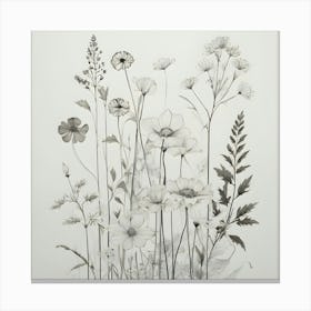 Wildflowers 4 Canvas Print