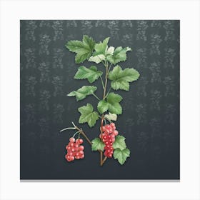 Vintage Redcurrant Plant Botanical on Slate Gray Pattern n.0299 Canvas Print