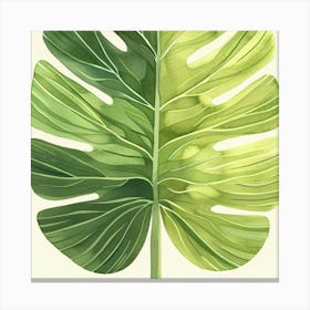 Monstera Leaf Canvas Print